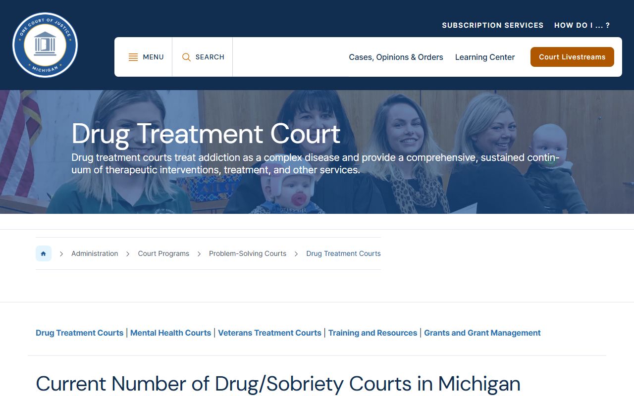 Roscommon County court dockets treatment court review program page